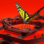 Butterfly in a Bear Trap on red background